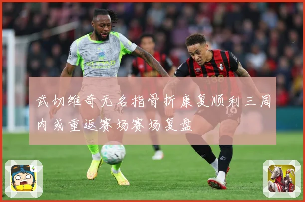 武切维奇无名指骨折康复顺利三周内或重返赛场赛场复盘