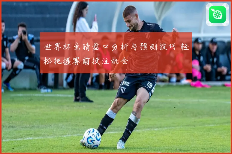 世界杯竞猜盘口分析与预测技巧 轻松把握赛前投注机会